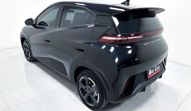 
								BYD Dolphin Mini (Elétrico) 2025 full									