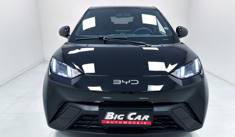 
								BYD Dolphin Mini (Elétrico) 2025 full									