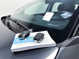 
										Citroën C4 Cactus X-Series 1.6 16V Flex Aut. 2022 full									