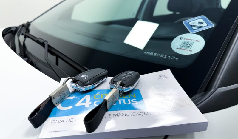 
								Citroën C4 Cactus Rip Curl 1.6 16V Flex Aut. 2022 full									