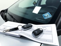 
										Citroën C4 CACTUS FEEL Pack 1.6 16V Flex Aut. 2021 full									