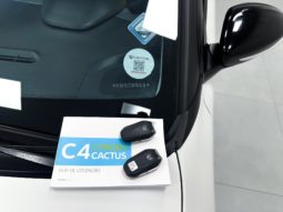 
										Citroën C4 CACTUS SHINE 1.6 Turbo Flex Aut. 2019 full									