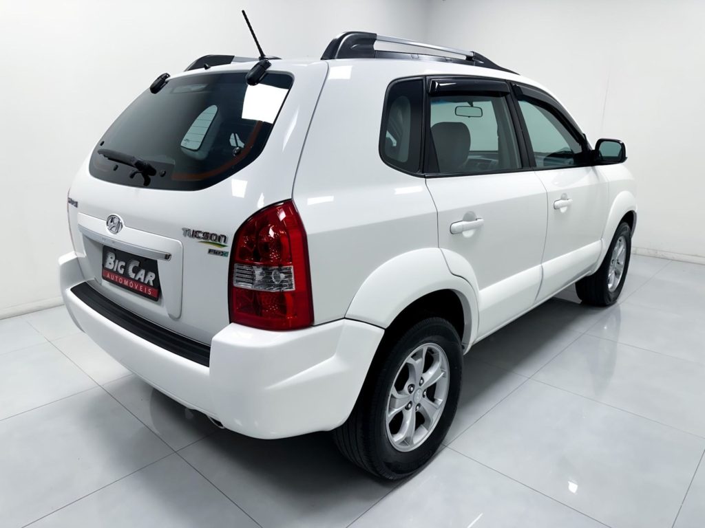 wpai-20260131040530-709-4