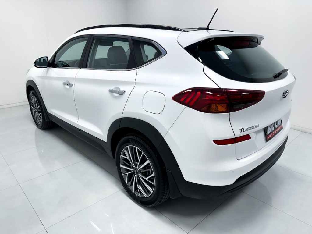 wpai-20260213040501-902-8