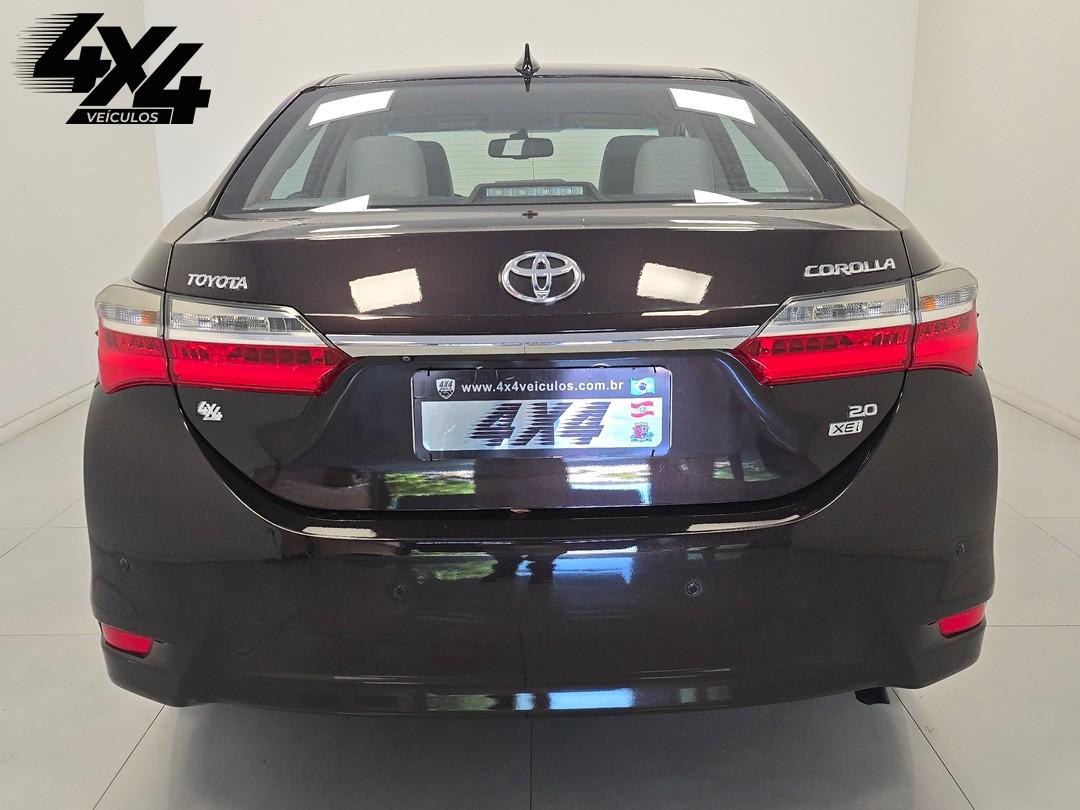 wpai-20260215060046-234-10