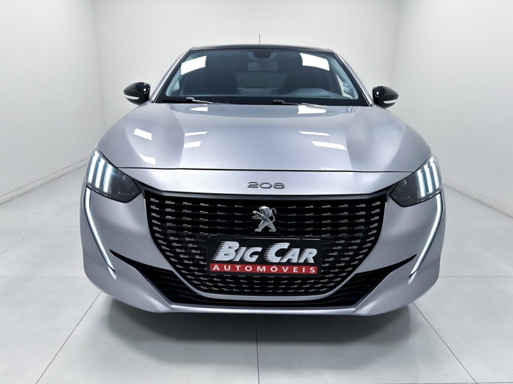 wpai-20260220040442-413-12